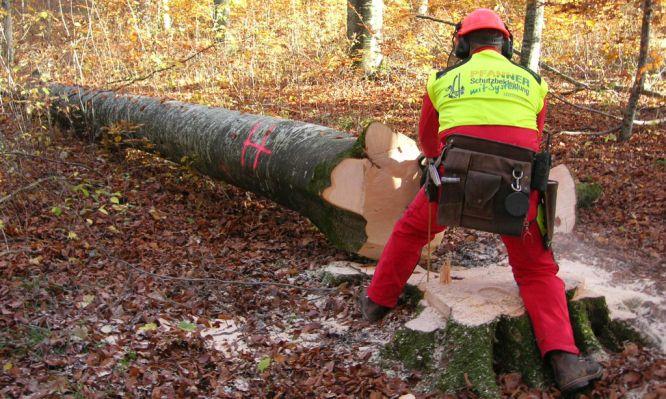 Biomass from Residues of Agricultural Crops and Forests