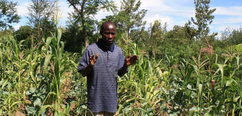 Climate Change Adaptation in the Agricultural Sector
