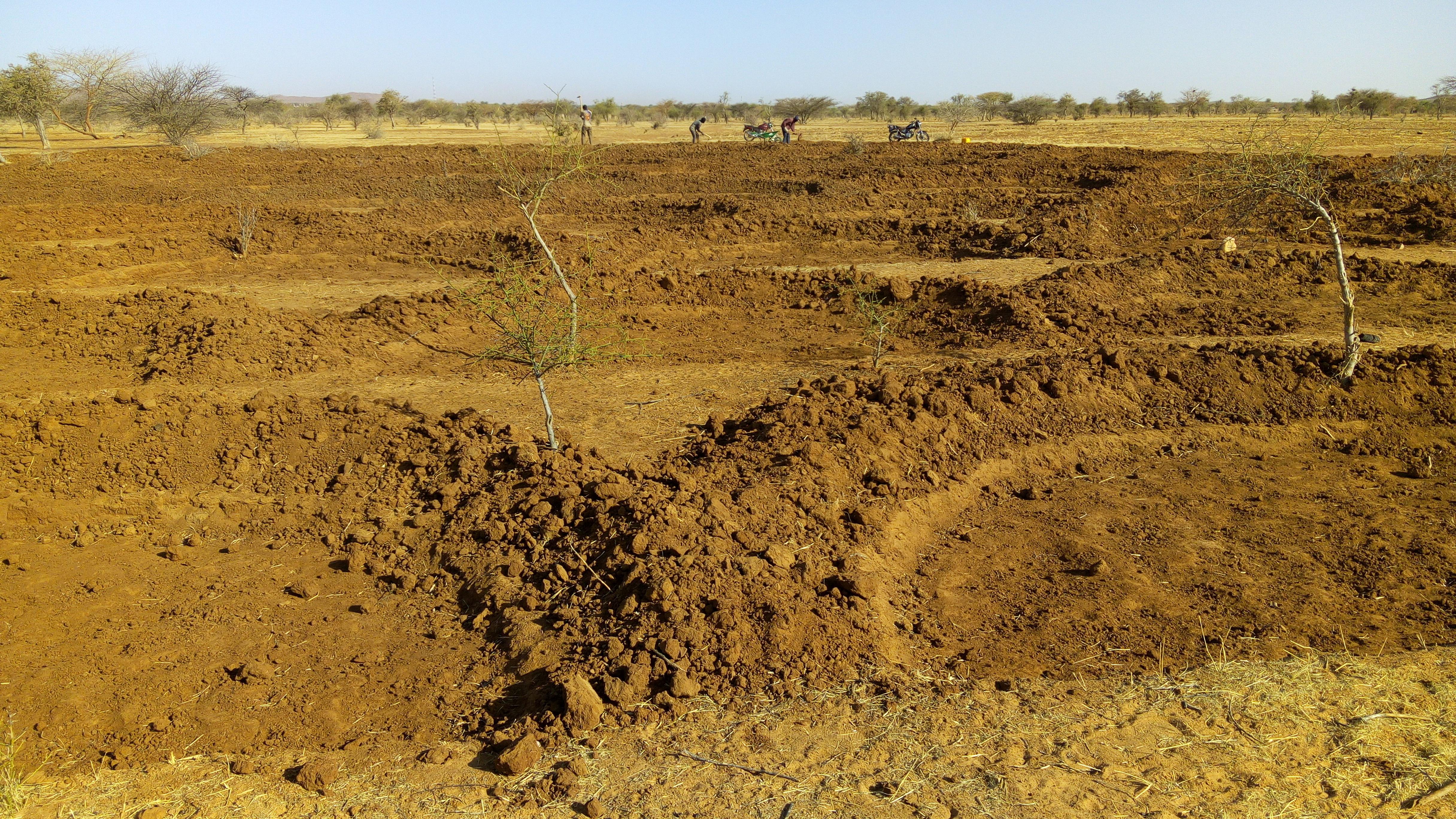 Climate-Responsive Agriculture Carbon Project Development