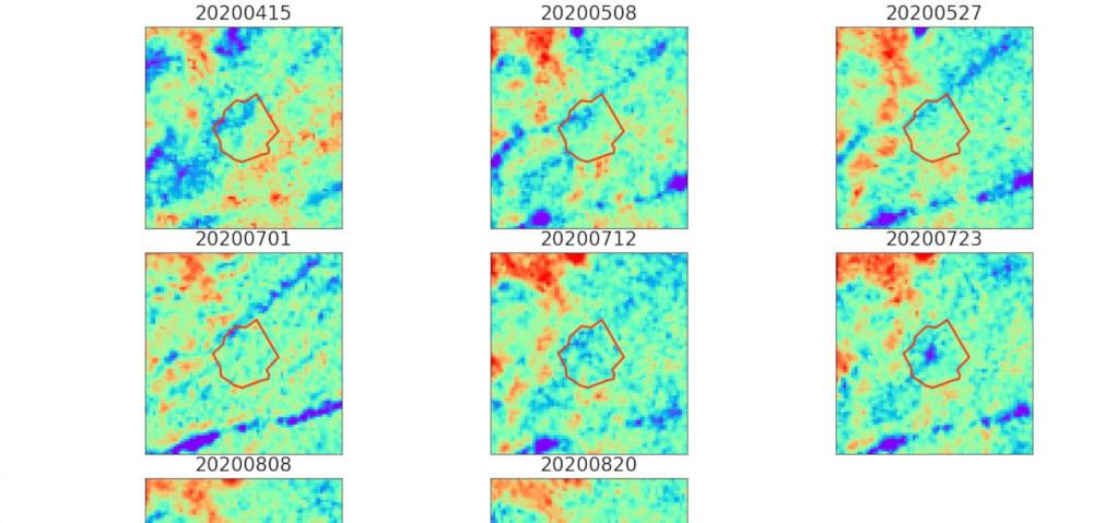 Digital Detect - Early Bark Beetle Infestation Detection - Phase 1