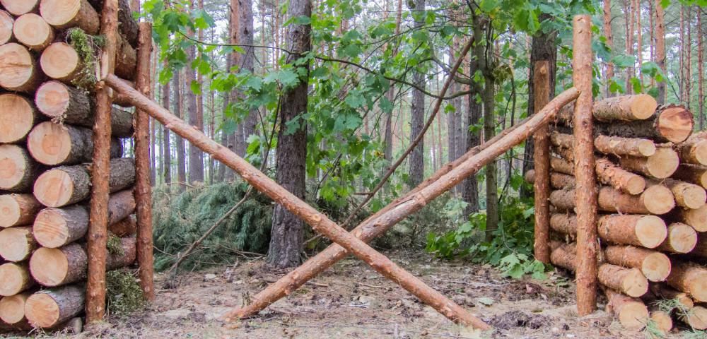 Evaluation of Timber Marketing and Logistics in Brandenburg