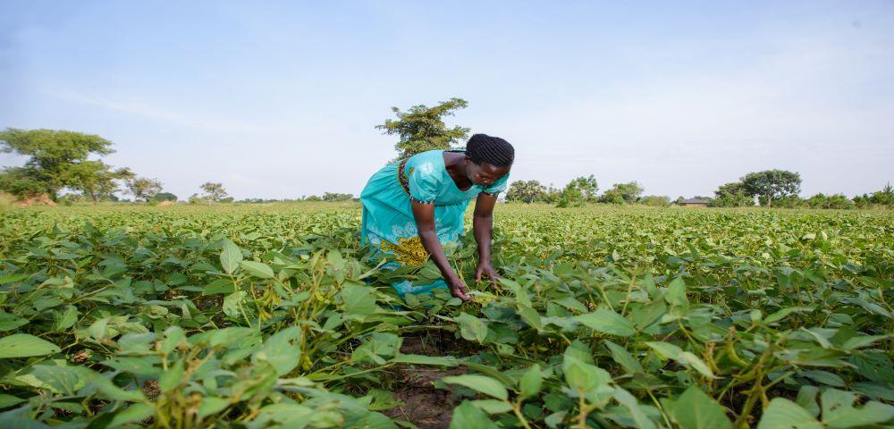 Expert Pool for Rural Development