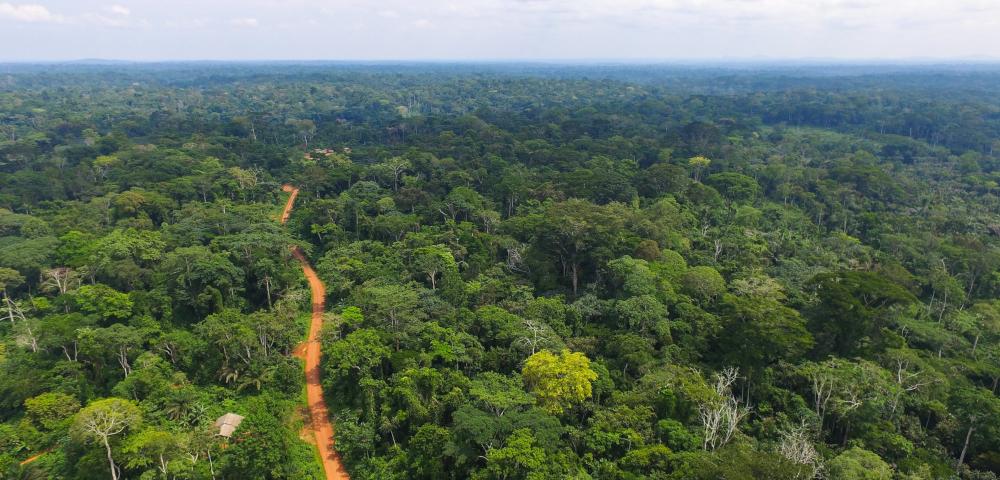 External Technical Expert - Focus on Environmental Protection