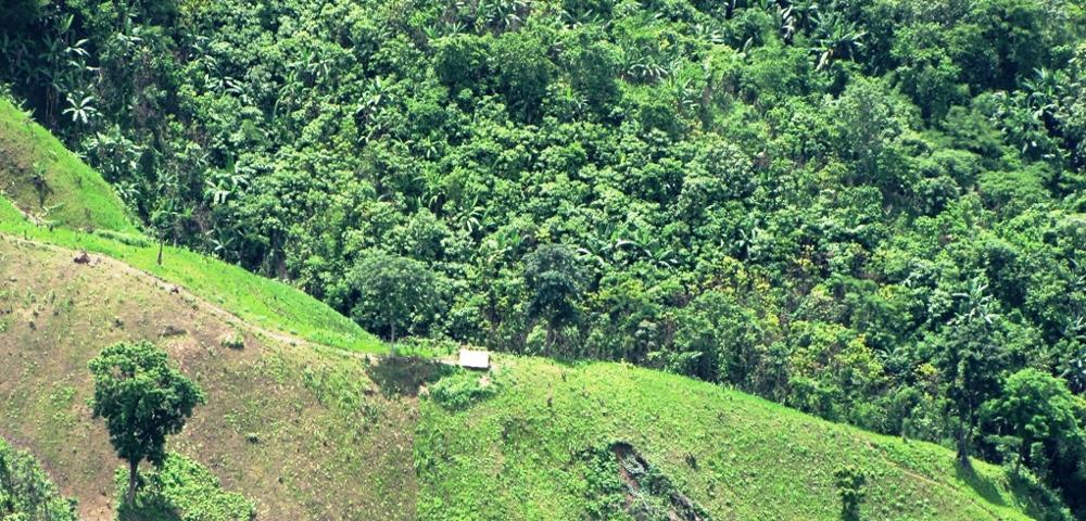 Feasibility Study: Climate Change Adaptation Programme
