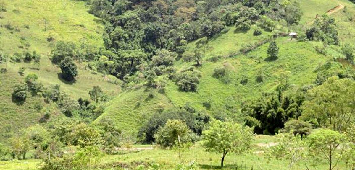 Feasibility Study for the Biosphere Reserve Trifinio
