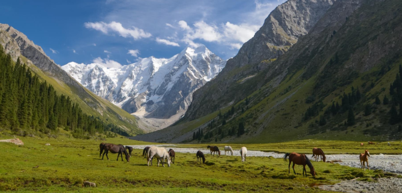 Framework Contract Sustainable & Climate Sensitive Land Use