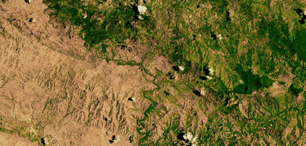Funding Strategies for the Private Sector with REDD+