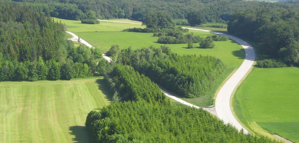 Future-oriented and Integrated Management of Forest