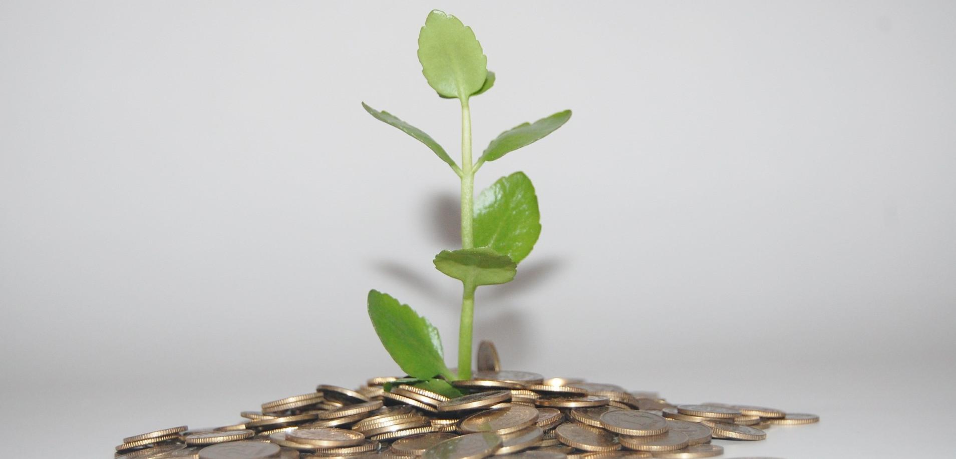 Green Credit Financing for Financial Institutions