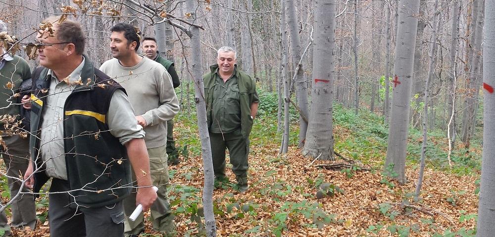 Innovative Forest Management Planning