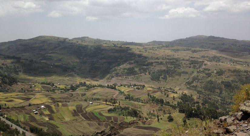 Institutional Strengthening Forest Sector Development