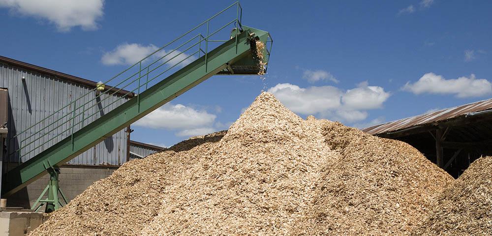 Market Study for Fuel Wood