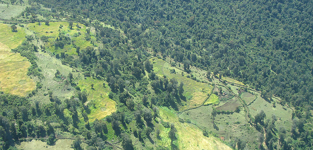 Oromia REDD+ Program Development