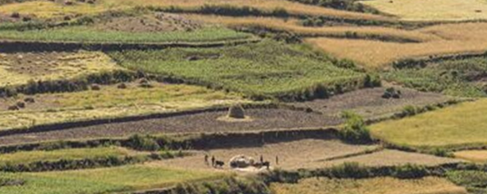 Review of Agriculture, Food Security and Biodiversity Project Portfolio