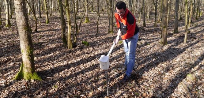 Soil Analysis for Schriesheim Burial Forest