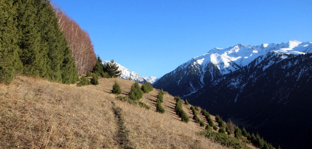 Study Design on Community Forestry