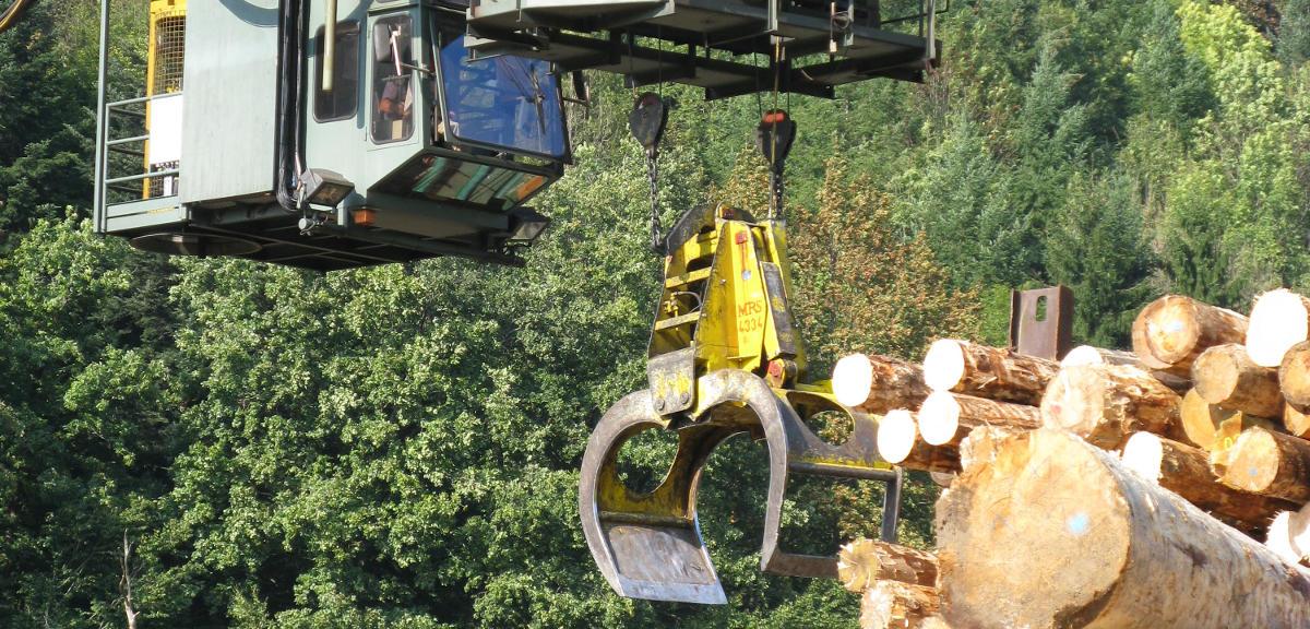 Study on the Sawmilling Industry