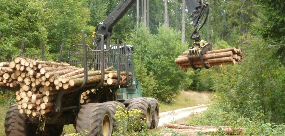 Time studies in mechanized harvesting schemes