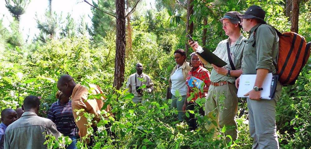 Verification Clean Development Mechanism Project