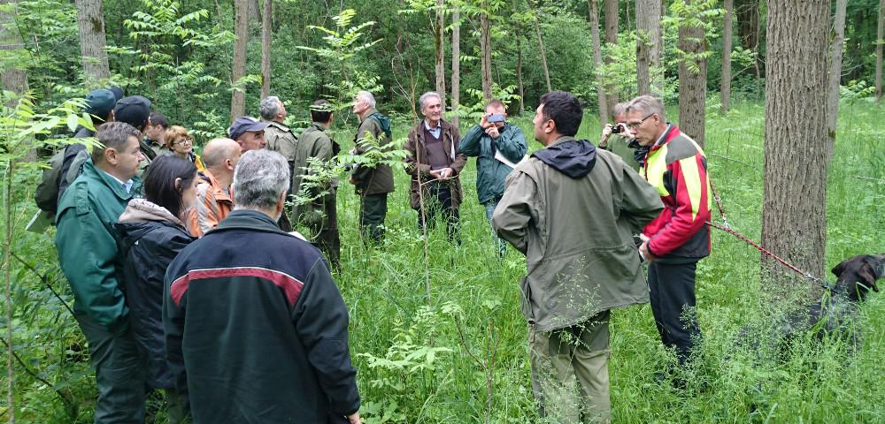 Vocational and Postgraduate Training in the Forestry Sector